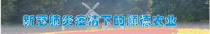 新冠肺炎疫情下的顺德农业
